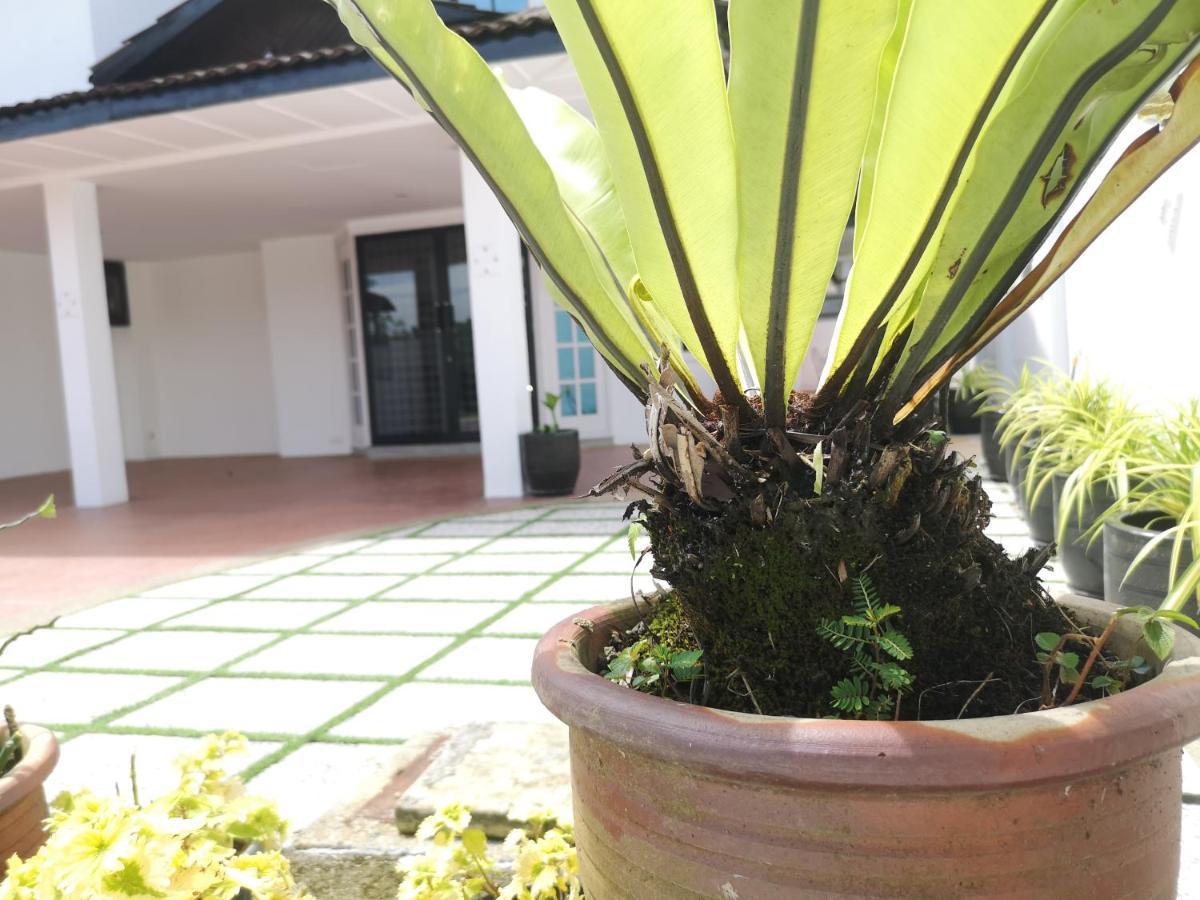 Jb 5 Bedroom Semi-d Near Ksl,mid Valley ,berjaya Waterfront Villa *